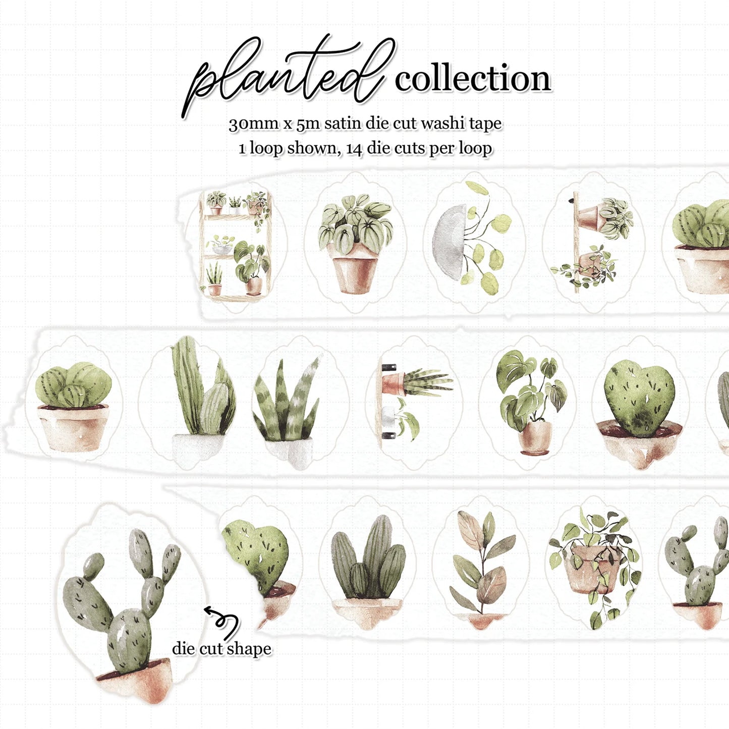 Planted 'Potted Love' Premium Satin Die Cut Washi 30mm