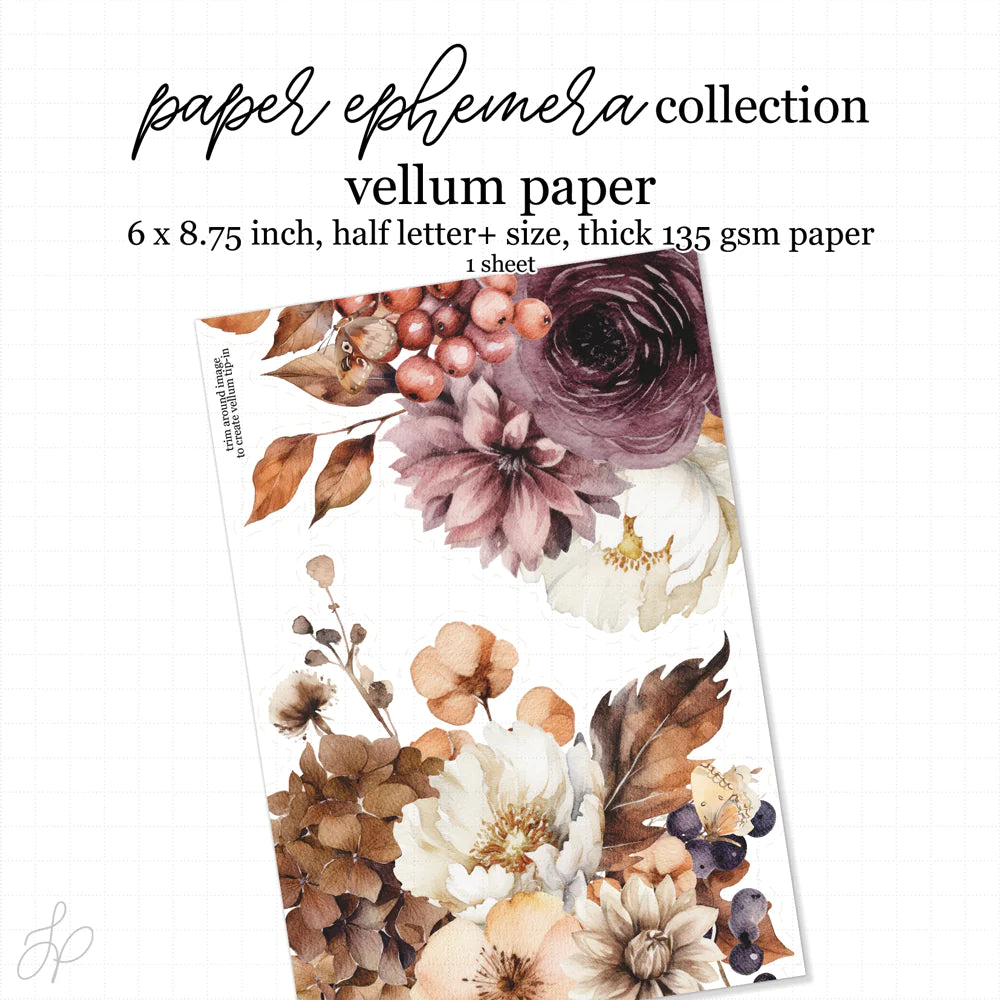 Mulberry Luxe Vellum Sheets