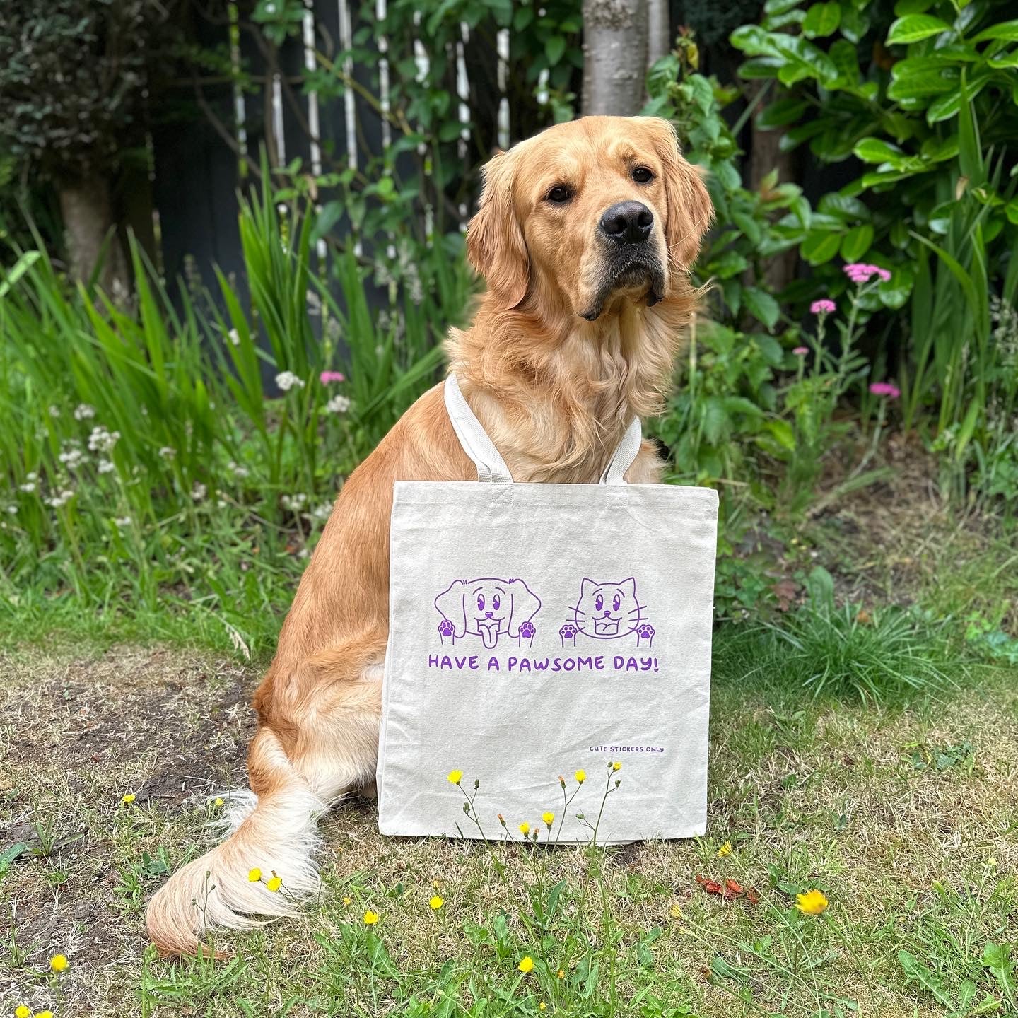 Have a Pawsome Day! Premium Canvas Tote Bag (10oz thick, 100% recycled cotton)