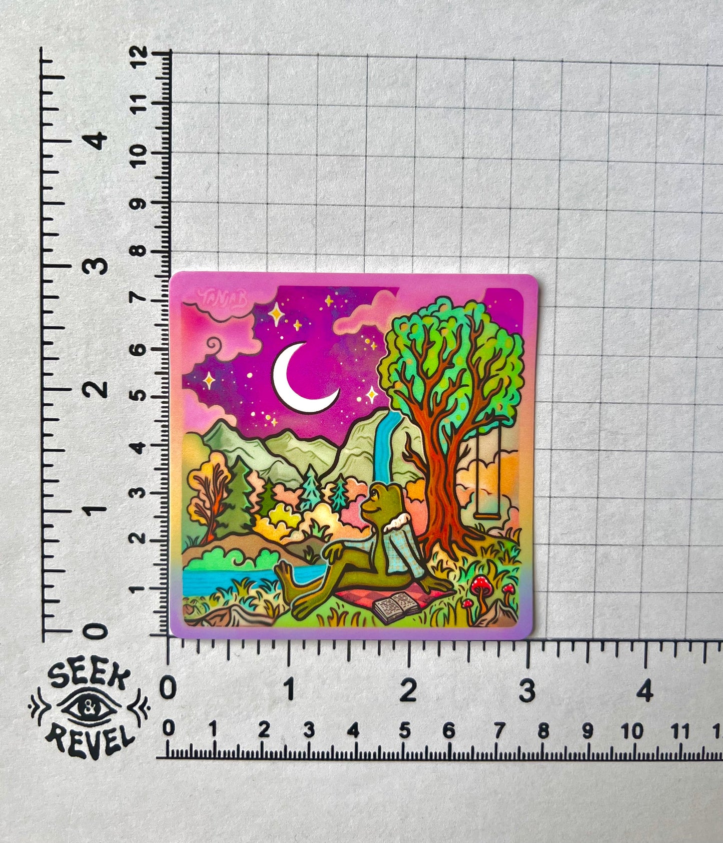 Moon Gazing Frog - Large Waterproof Sticker