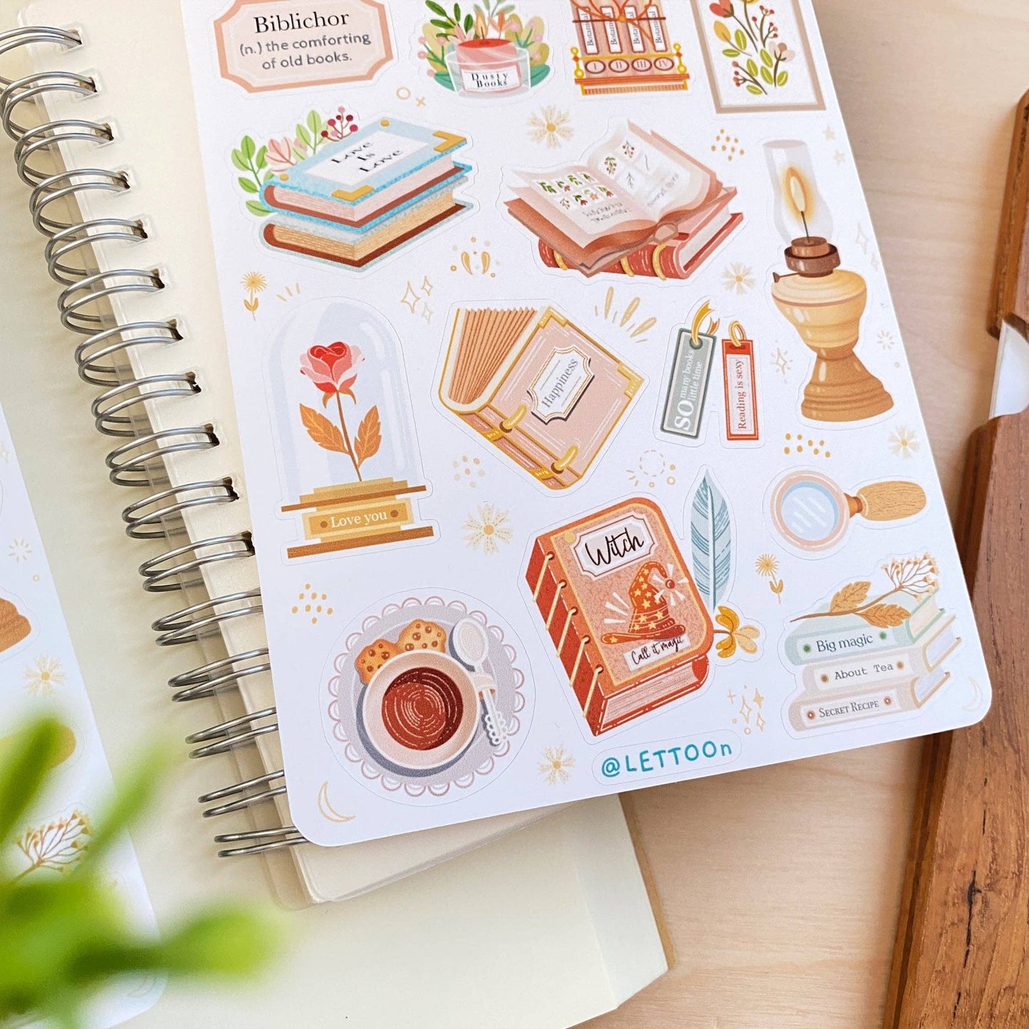 Aesthetic Book - Sticker Sheet