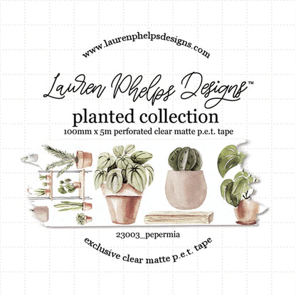 Planted 'Pepermia' Perforated Satin P.E.T. Tape 50mm